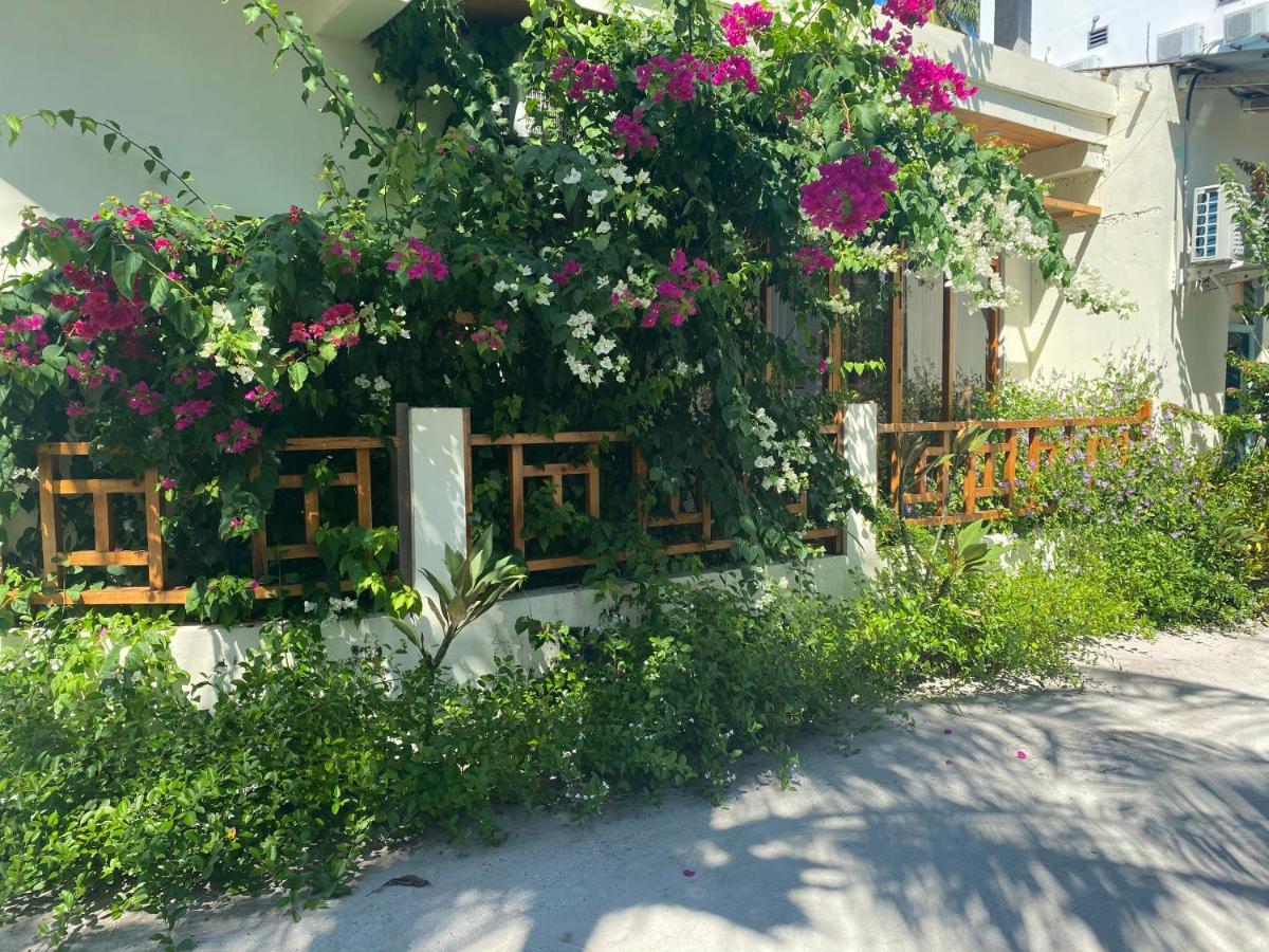 פלידהו Bougainvillea Inn - Maldives מראה חיצוני תמונה